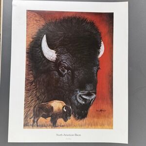 Don Marco Art Print 20"x24" North American BisonWildlife